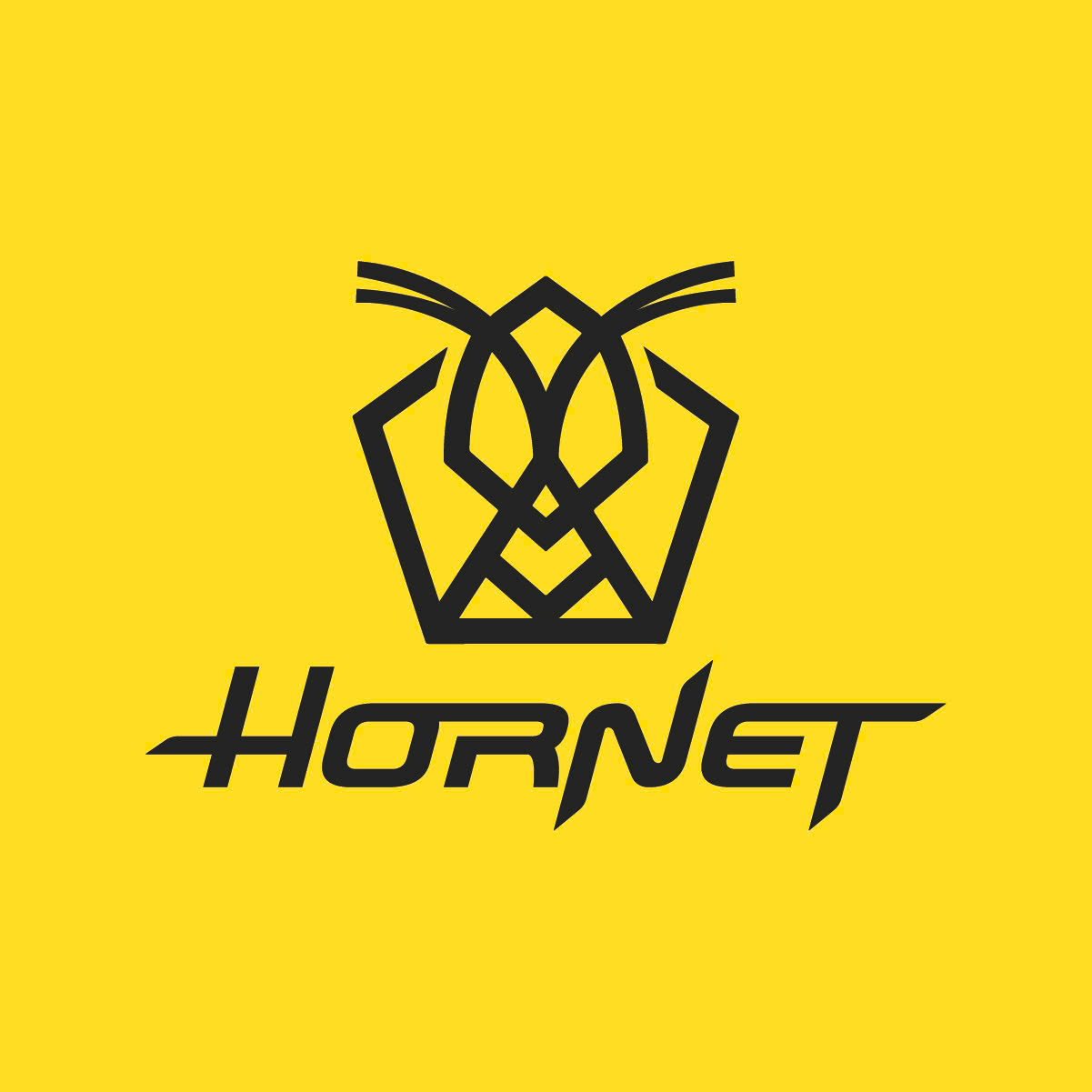 Hornet Pool Cue